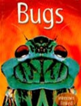 Usborne Discovery:Bugs For Cheap