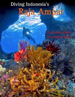 Diving Indonesia s Raja Ampat Online